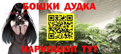 гашик Новодвинск