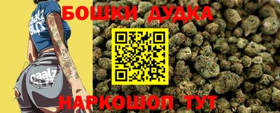 прущие крисы Новозыбков
