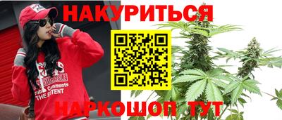 Альфа ПВП Новокубанск