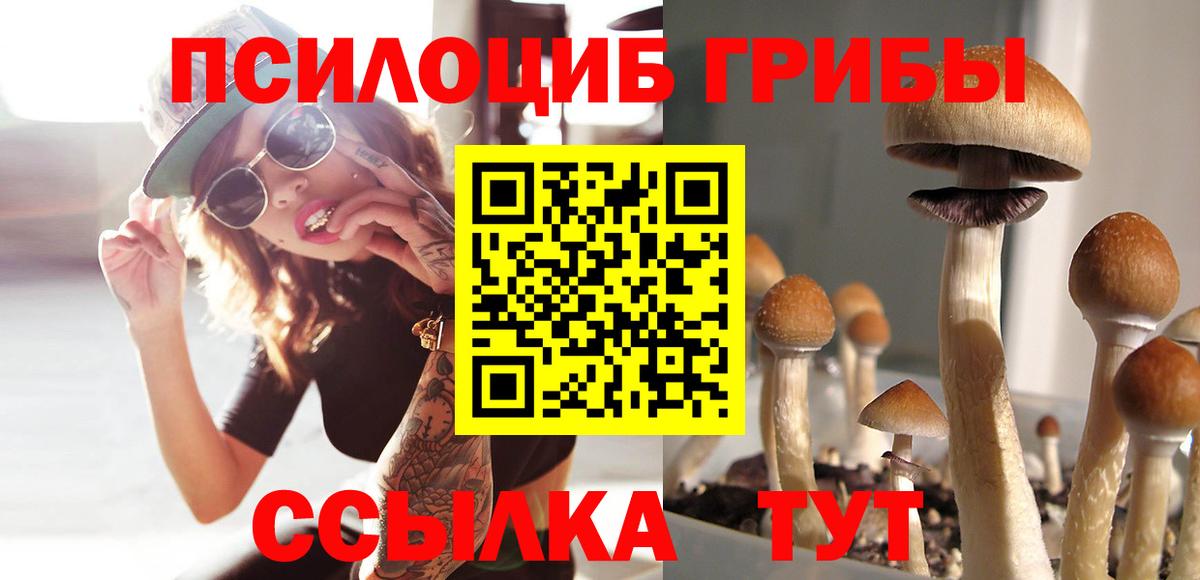 Псилоцибиновые грибы Psilocybine cubensis  Вход с VPN  Скопин 